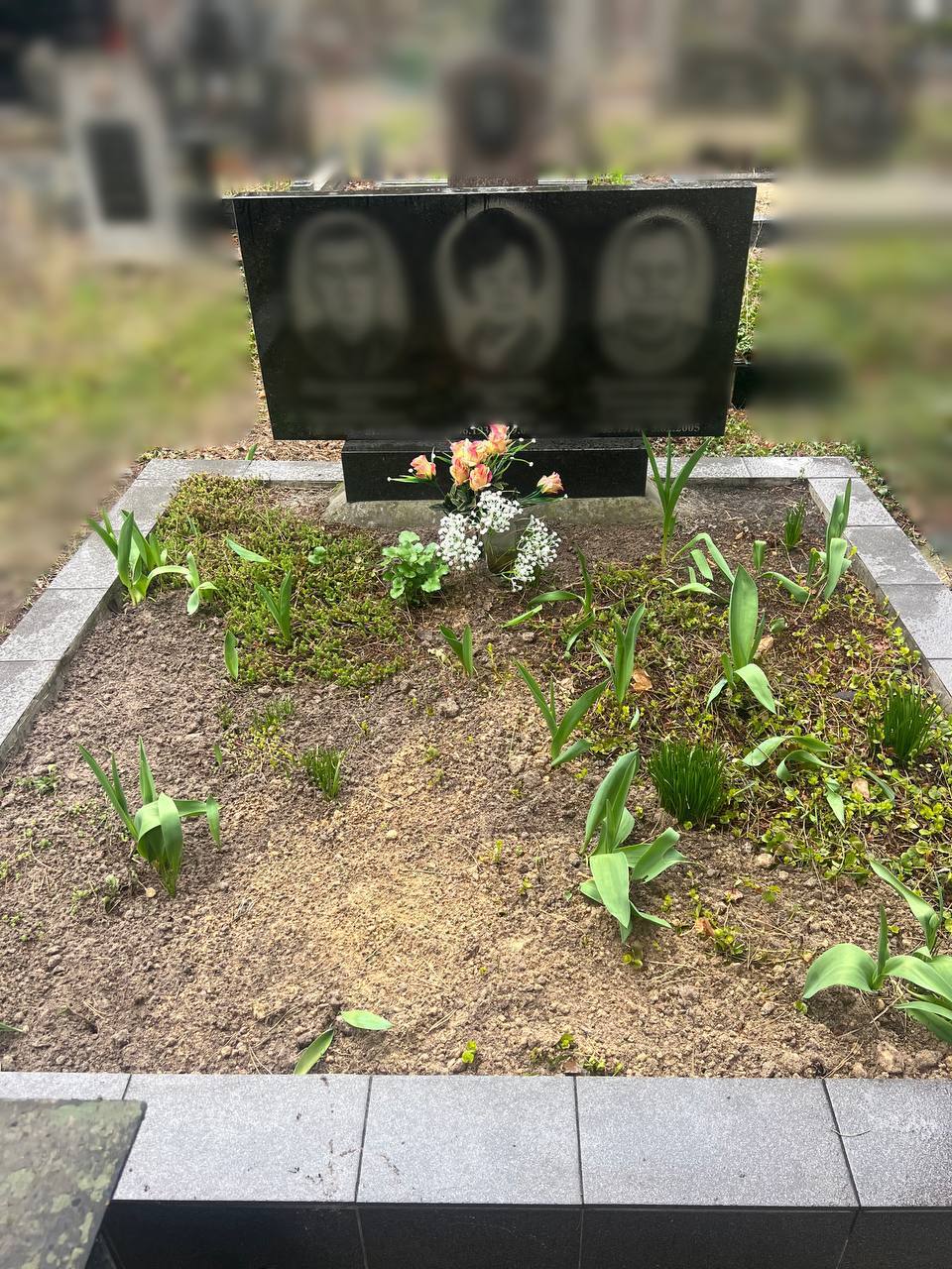 Сімейний меморіал 4